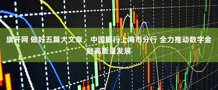 旗开网 做好五篇大文章，中国银行上海市分行 全力推动数字金融高质量发展