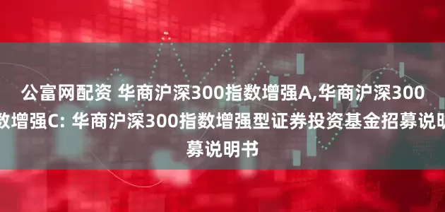 公富网配资 华商沪深300指数增强A,华商沪深300指数增强C: 华商沪深300指数增强型证券投资基金招募说明书