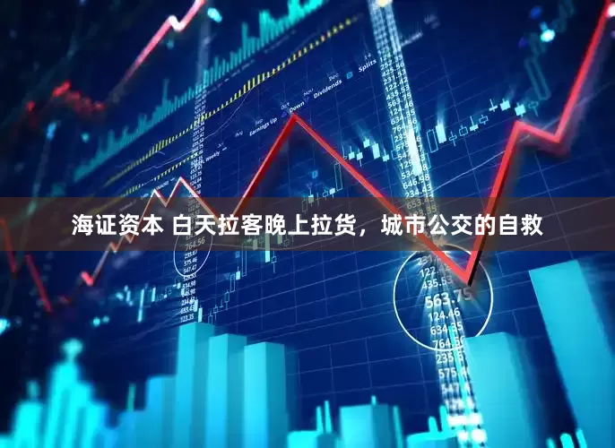 海证资本 白天拉客晚上拉货，城市公交的自救