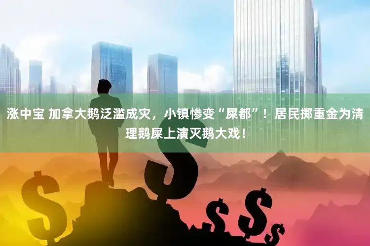 涨中宝 加拿大鹅泛滥成灾，小镇惨变“屎都”！居民掷重金为清理鹅屎上演灭鹅大戏！