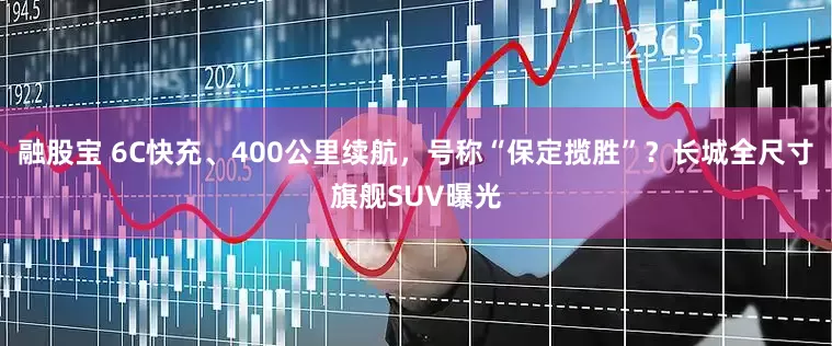融股宝 6C快充、400公里续航，号称“保定揽胜”？长城全尺寸旗舰SUV曝光