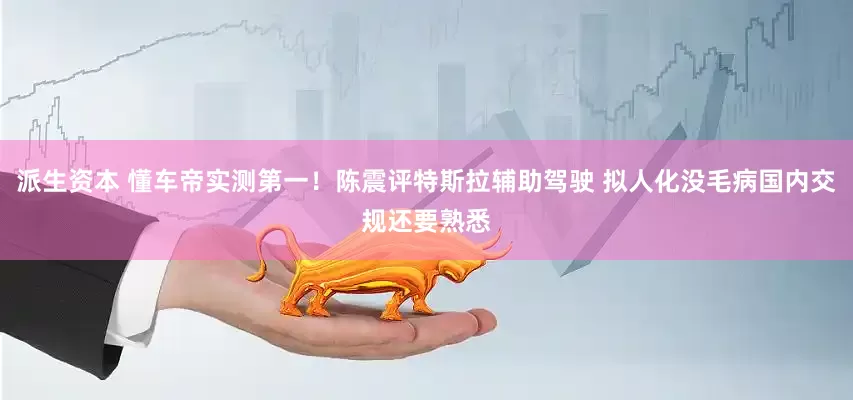 派生资本 懂车帝实测第一！陈震评特斯拉辅助驾驶 拟人化没毛病国内交规还要熟悉