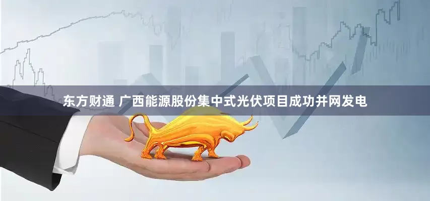 东方财通 广西能源股份集中式光伏项目成功并网发电
