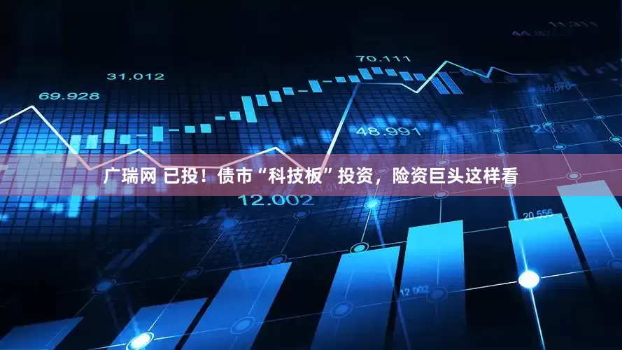 广瑞网 已投！债市“科技板”投资，险资巨头这样看