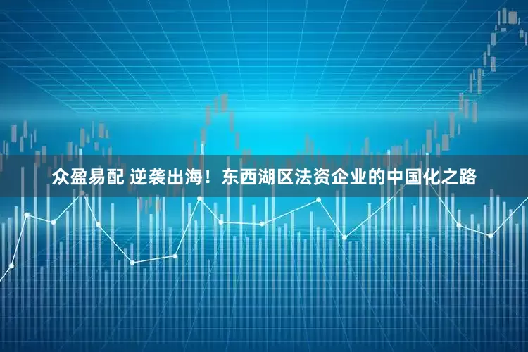 众盈易配 逆袭出海！东西湖区法资企业的中国化之路