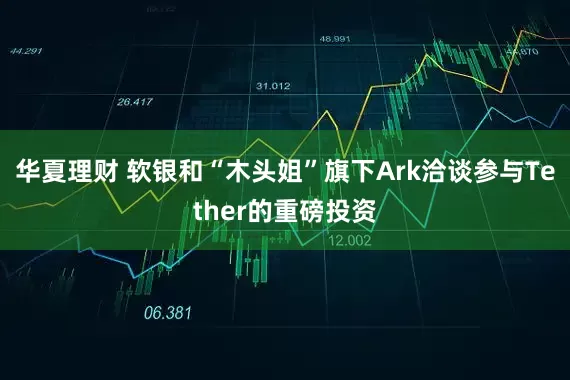 华夏理财 软银和“木头姐”旗下Ark洽谈参与Tether的重磅投资