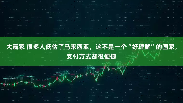 大赢家 很多人低估了马来西亚，这不是一个“好理解”的国家，支付方式却很便捷